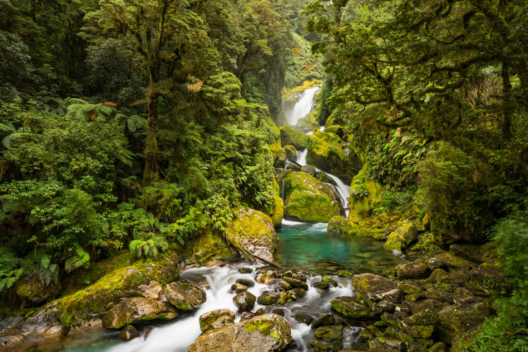 Photo courtesy of Ultimate Hikes.